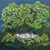 Copse