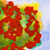The Hedge